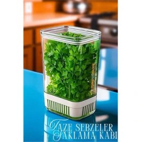 Resim Fantastik Store Hsnet Yeşillik Saklama Kabı - Taze Yeşillik Için - Soğan Maydanoz Vb Yeşillik Saklama 