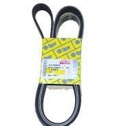 Resim Fiat Linea ( EURO 5 ) 1.3 Alternatör Kayışı Orjinal Opar 55218886E 