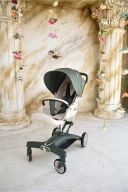 Resim Premıum Bebek Arabası Ebr-750 Zeytin Yeşili 