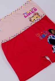 Resim Dondeza Kız Çocuk Baskılı Likralı Ikili Boxer 