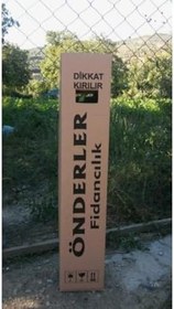 Resim Melisa Fidanı 