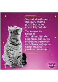 Resim Whiskas Pure Delight Tavuk Dilimli Yaş Kedi Maması 4x85 Gr X 2 Adet 