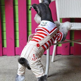 Resim 1 adet Sevimli Evcil Hayvan Denizci Kıyafeti Sırt Çantası Pantolon, İlkbahar/Yaz Rahat Oturan Çizgili Gömlek, Küçük Köpekler için Dayanıklı Köpek Polyester Pantolon, Çok Yönlü Evcil Hayvan Giyim, Köpek Giysileri, etli pantolon, kızaflı gömlek 