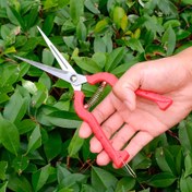 Resim 1 Adet Ekstra Uzun Paslanmaz Çelik Budama Makası - Bonsai, Dikenler, Güller ve Hasat için Çok Amaçlı Bahçe Makası - Ergonomik Tasarım, Rahat Sapı ve Keskin Bıçaklar ile Çiçekler, Otlar, Meyveler ve Sıkışık Alanlar İçin İdeal 