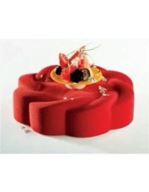 Resim Pastry Planet Rüzgargülü Yuvarlak Silikon Kalıp 