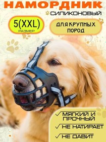 Resim Solarpet Köpekler İçin Ağızlık Izgarası - Küçük, Orta Ve Büyük Irklar 224653716 