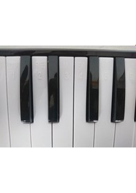 Resim Cremonia Cr32Bk-12 Melodika 32 Tuşlu Siyah 