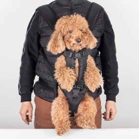 Resim 1 Ayarlanabilir Evcil Hayvan Göğüs Korsesi - Snap Kapanışlı Kolay Erişimli Köpek Sırt Çantası, Yürüyüş, Bisiklet, Kamp ve Seyahat İçin İdeal, Küçük ve Orta Boy Köpekler İçin Rahat, Evcil Hayvan Rahatlığı|Ayarlanabilir Kayış Korsesi|Güvenli Kapanış, Evcil Hayvan Korsesleri 