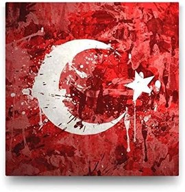 Resim Türk Bayrağı Kanvas EkoTablo-35 X 35 Cm 