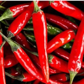 Resim Doğal Malagueta Chili Acı Biber Tohumu 10 Tohum 