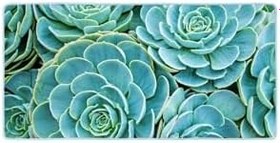 Resim Colorix Carpet Kaymaz Taban Tezgah Önü Mutfak Paspası 75x150 Cm No: 240 