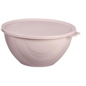 Resim Geseus Moon Star Elegance Kapaklı Yoğurt Mayalama Kabı Yemek Saklama Kabı 2,5litre-rbk-312 