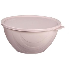 Resim Geseus Moon Star Elegance Kapaklı Yoğurt Mayalama Kabı Yemek Saklama Kabı 2,5litre-rbk-312 