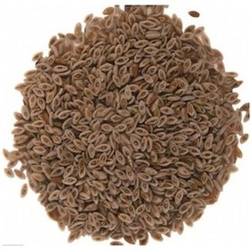 Resim Aktar Store Karnıyarık Otu Tohumu 250 GR 