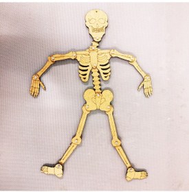 Resim Iskelet Sistemi Yapım Seti Ahşap Boyanabilir Montessori Eğitim Ür 