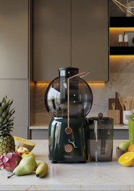 Resim Fressi Katı Meyve Sıkacağı Hız Ayarlı 1,2L 800W FR-KM01 Essenza 