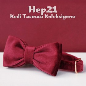 Resim Cat collar Named Zilli Cat collar 745094 - Purple Collar / S/M 16-26cm 