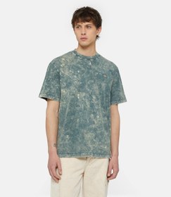 Resim Dickies Newington Tee Ss 