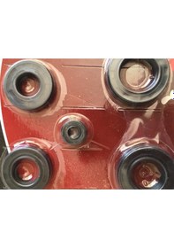 Resim Cg 5Li Keçe Seti Rmg 