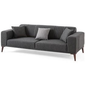 Resim Regnar 3+3 Koltuk Takımı Antrasit Antrasit 