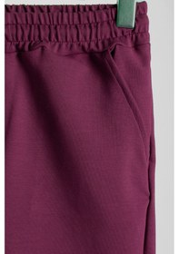 Resim Erkek Mürdüm Basic Regular Fit Şort & Bermuda Mürdüm 