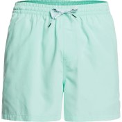 Resim Quiksilver Everyday 15 M Jamv Erkek Volley Short EQYJV03531-GCZ0 