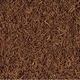 Resim Hype Store Tropical FD Blood Worms Kan Kurdu 250ml 17gr 