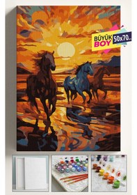 Resim Sayılarla Boyama Seti Numaralı Tuval Fırça Boya Dahil Kasnaklı Set 50x70 Cm - Koşan Atlar 