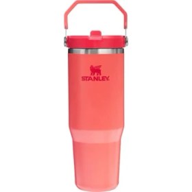 Resim Stanley The Iceflow™ Flip Straw 2.0 Tumbler 0.89L / 30OZ 