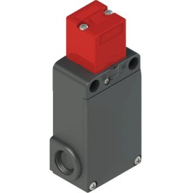 Resim Pizzato FS2896D024 ,24VAC/DC KONTAK-1A2K Kilitli Mekanik Sivic 