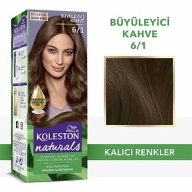 Resim Saç Boyası Büyüleyici Kahve 6-1 - STD / STD 