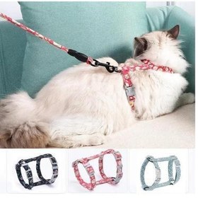 Resim Kedi Gezdirme Göğüs Tasması 