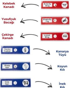 Resim Temel 12 Li Hazır Mikroskop Slayt Seti, Eğitici Biyolojik Örnek Slaytlar 