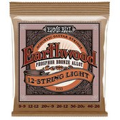 Resim Ernie Ball P02153 09-46 (12 Telli) Akustik Gitar Teli 
