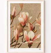 Resim Manolya, Poster 