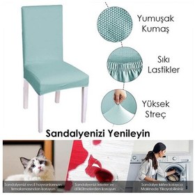 Resim Balpeteği Desen Likra Kumaşlı Tüylenmez Yikanabilir Sandalye Örtüsü Sandalye Kılıfı Yeni Model Tekli Mint 