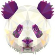 Resim Bay Etiket An13 Triangle Tasarim Panda Sticker 