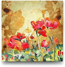 Resim Gelincik Yağlıboya Tablosu - 50x50cm 