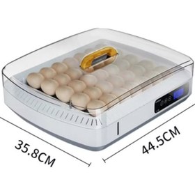 Resim 35 Yumurta Kuluçka Makinesi-en Yeni Arena Tasarımı İlhamı 