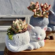 Resim Sevimli Küçük Bir Kedi Sukulent Saksı Silikon Kalıbı, Ev Dekorasyonu İçin Kedi Kalıbı, Alçı Kalıbı 