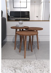 Resim Tokyo Orta Sehpa Ve Zigon Sehpa 4'Lü Salon Seti - Ceviz 