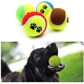 Resim 3lü Renkli Desenli Tenis Topu Köpek Oyuncağı 