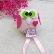 Resim Baykuş Kız Bebek Doğum Hediyelik(30 Adet) 