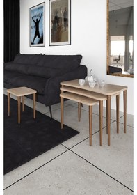 Resim Selena 4Lü Zigon Sehpa Ahşap Ayaklı Salonseti Sehpası Sonomo 