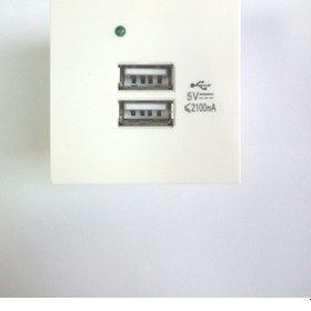 Resim USB Şarj Aleti 2 Port 45X45 Kanal için 