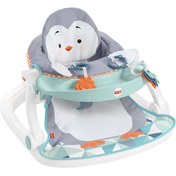 Resim Nessiworld Fisher Price Tepsili Ana Kucağı HBF27 