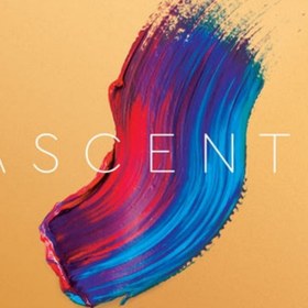 Resim D'Addario A310 1/2M Ascente 1/2 Keman Teli 