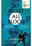 Resim At Night All Blood Is Black 9781782277538 
