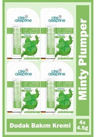 Resim Cire Aseptine Mentol Dudak Bakım Kremi 4,5 Gr 4 Adet 