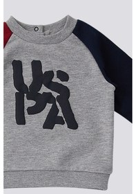 Resim U.s. Polo Assn. Erkek Bebek Gri 2'li Takım Gri 